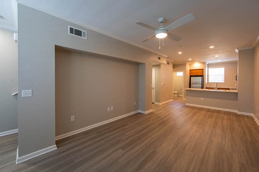 Gallery Photo 54